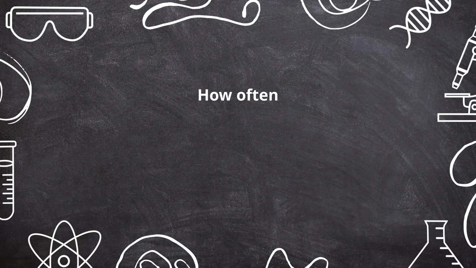 Frequency Adverbs 1
