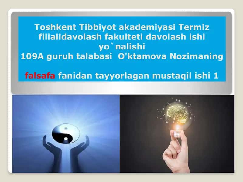 Falsafa fanidan tayyorlagan mustaqil ish 1