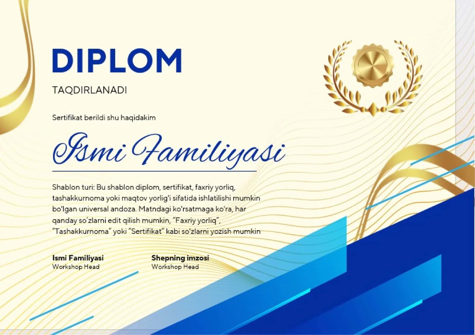 DIPLOM 1