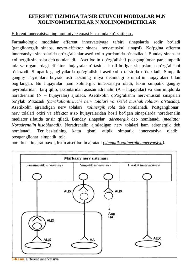 Efferent tizimiga ta'sir etuvchi moddalar 1