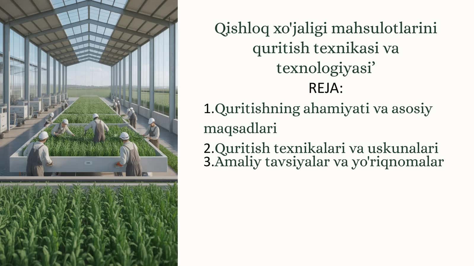 Qishloq xo'jaligi mahsulotlarini quritish texnikasi va texnologiyasi 1