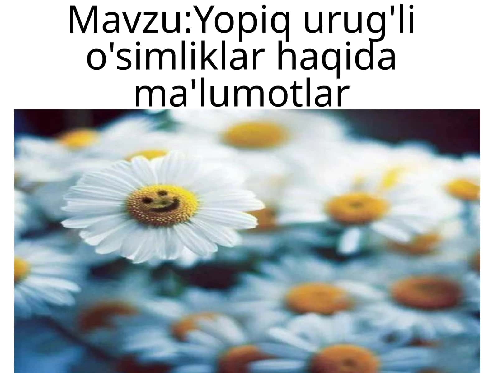 Yopiq urug'li o'simliklar haqida ma'lumotlar 1