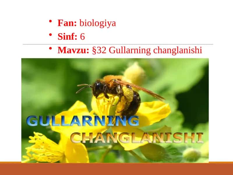 Gullarning changlanishi 1