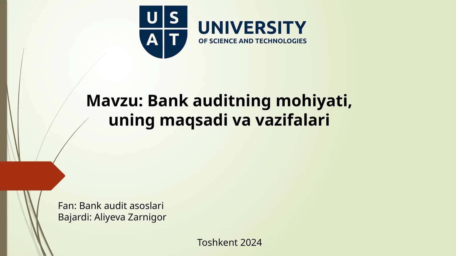 Bank auditasoslari 1