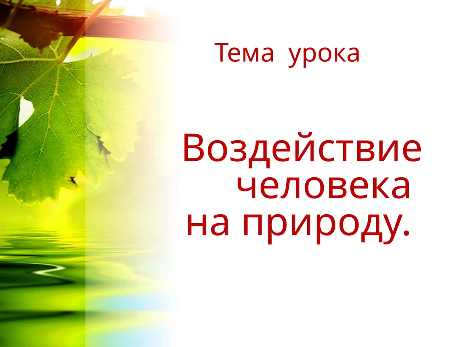 Воздействие человека на природу 1