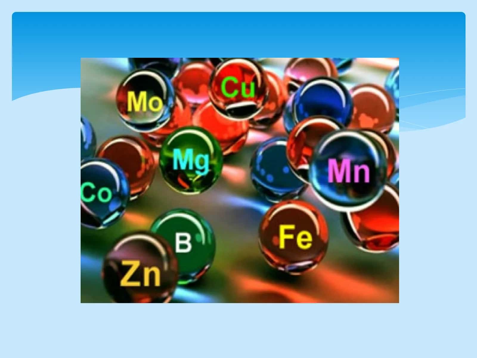 Mineral oziqlanishning fiziologiyasi 1