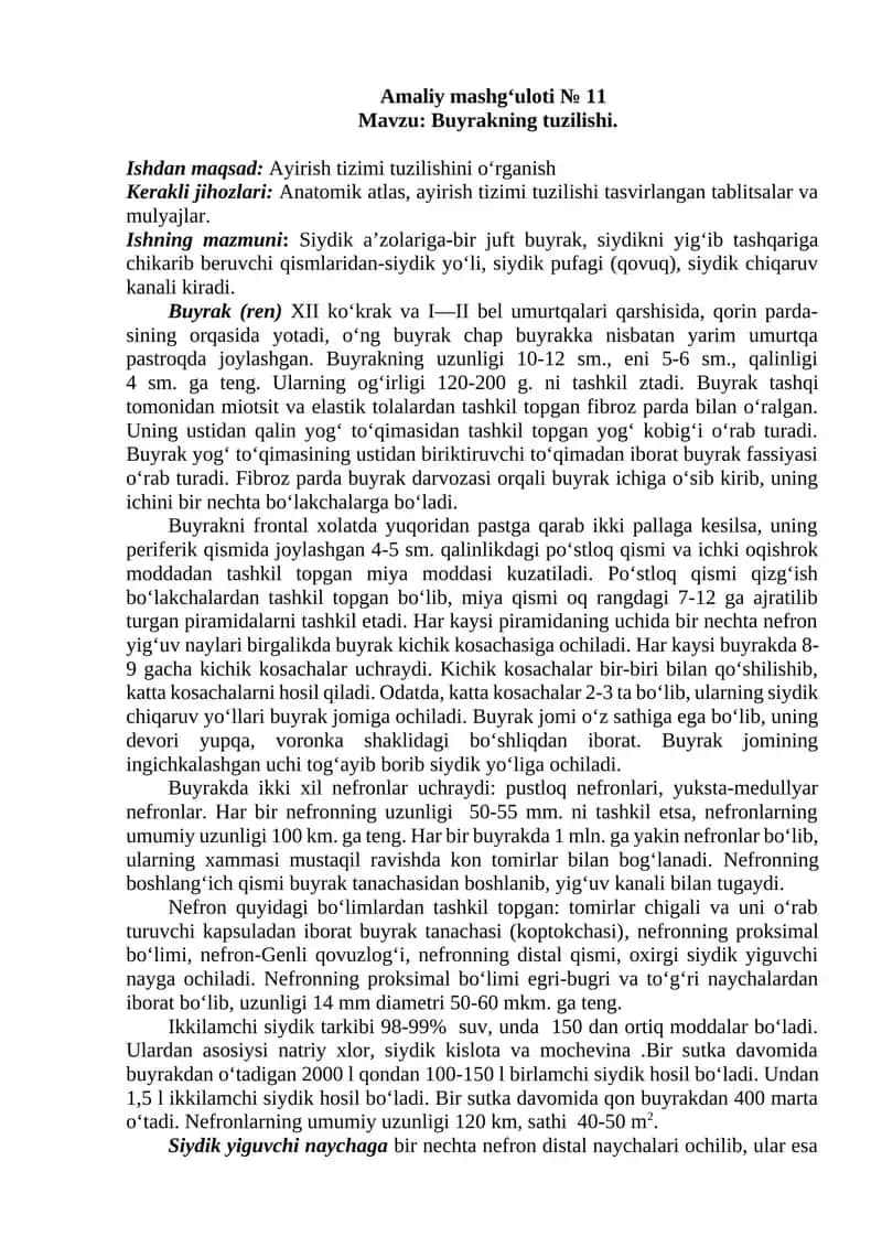 Buyrakning tuzilishi. 1