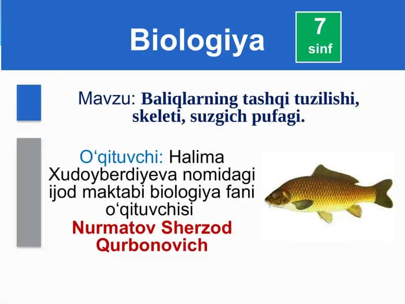 Baliqlarning tashqi tuzilishi, skeleti, suzgich pufagi 1