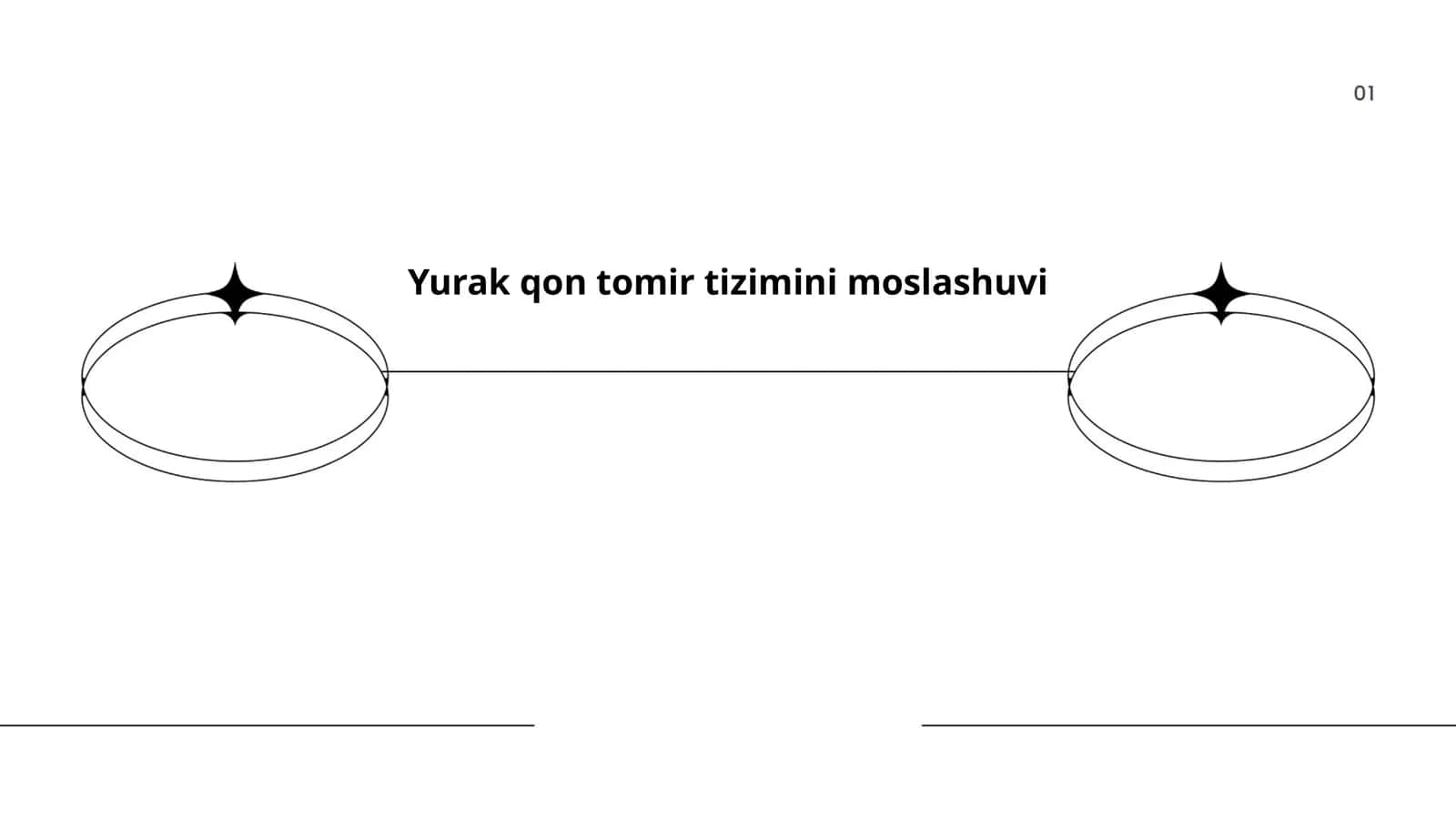 Yurak qon tomir tizimini moslashuvi 1