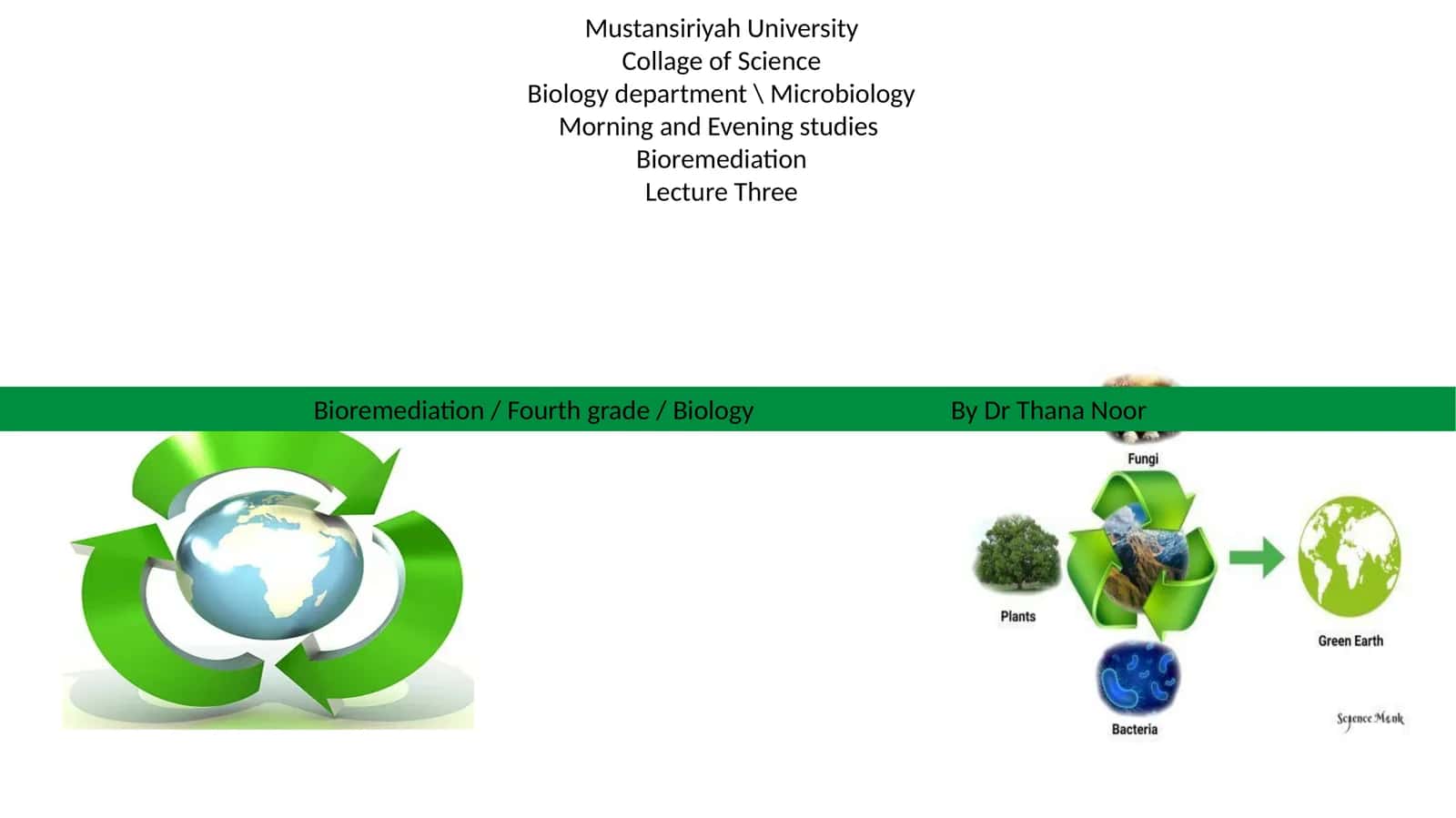 Bioremediation Lecture Three 1