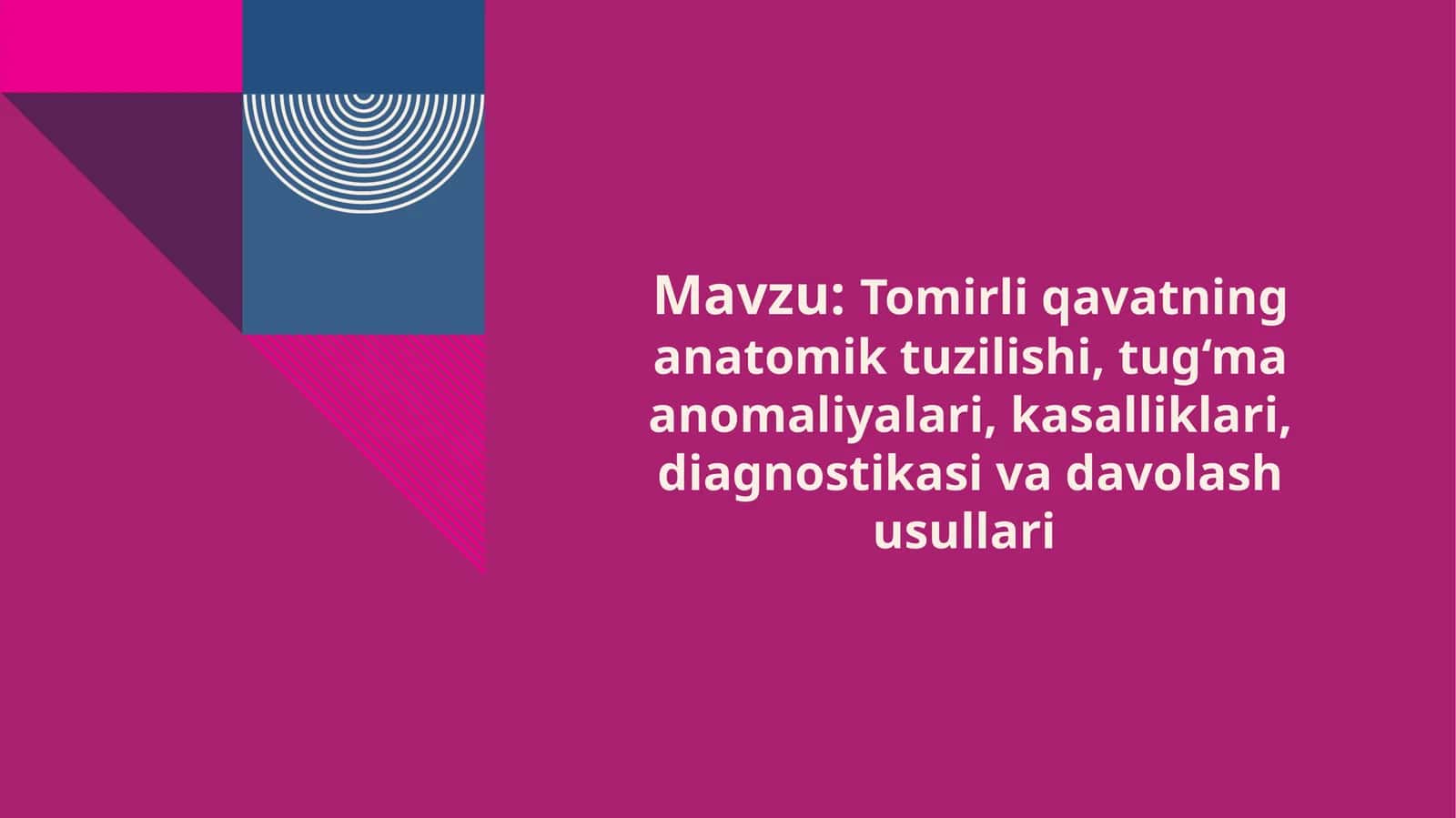 Tomirli Qavatning Anatomiyasi va Fiziologik Xususiyatlari 1