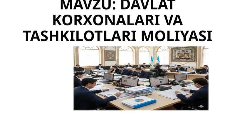 DAVLAT KORXONALARI V A TASHKILOTLARI MOLIYASI 1