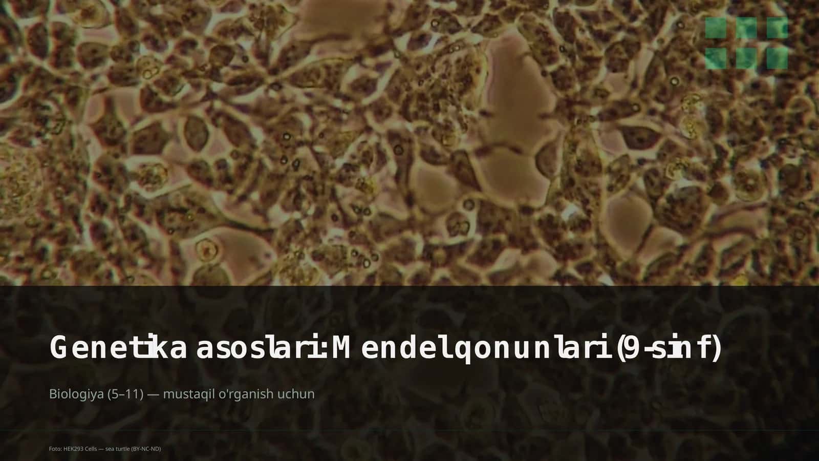 Genetika asoslari: Mendel qonunlari (9-sinf) 1