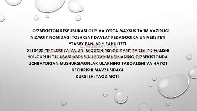 Mushuksimonlar oilasi tarqalishi va hayot kechirishi 1