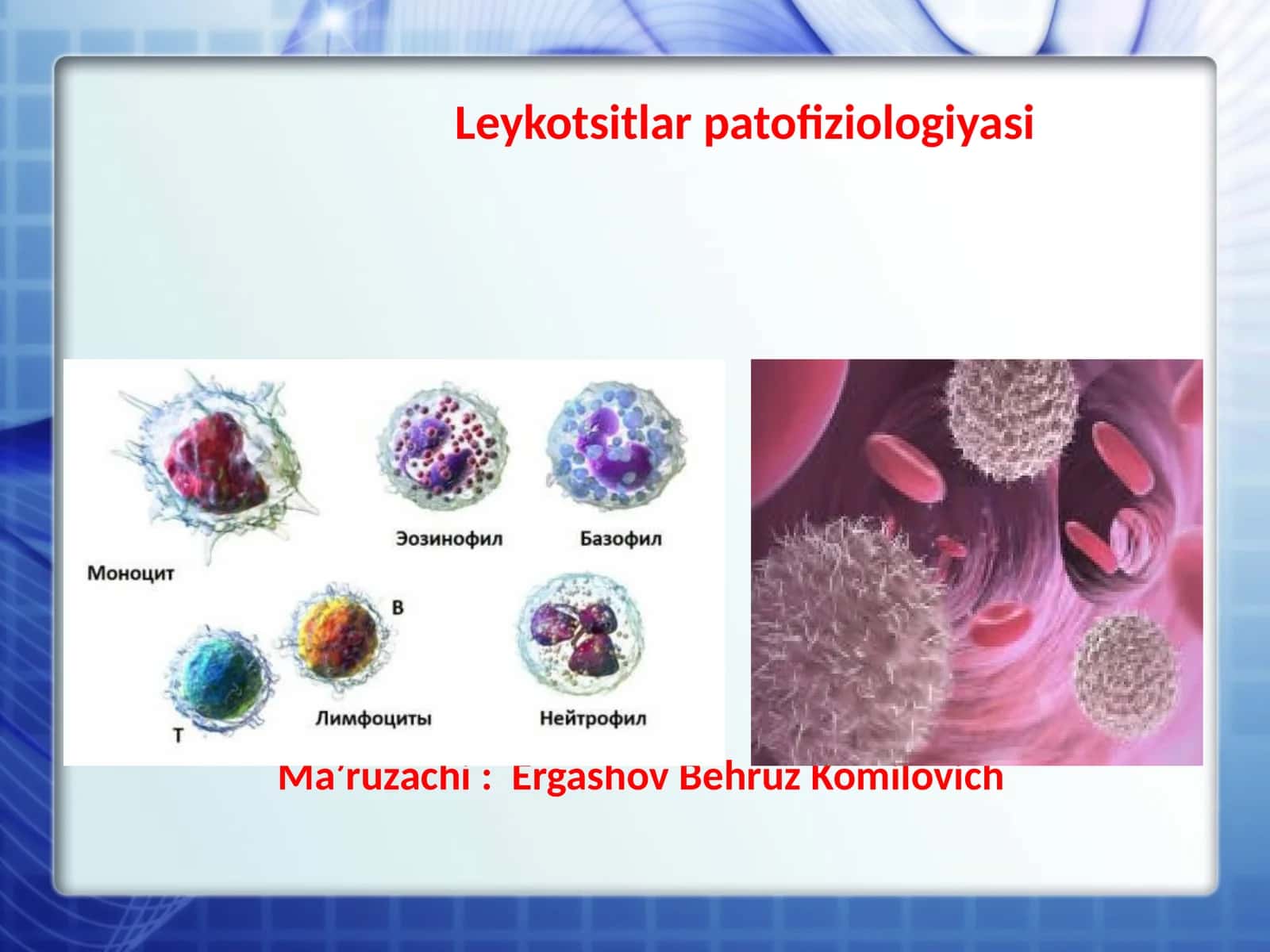 Leykotsitlar patofiziologiyasi 1