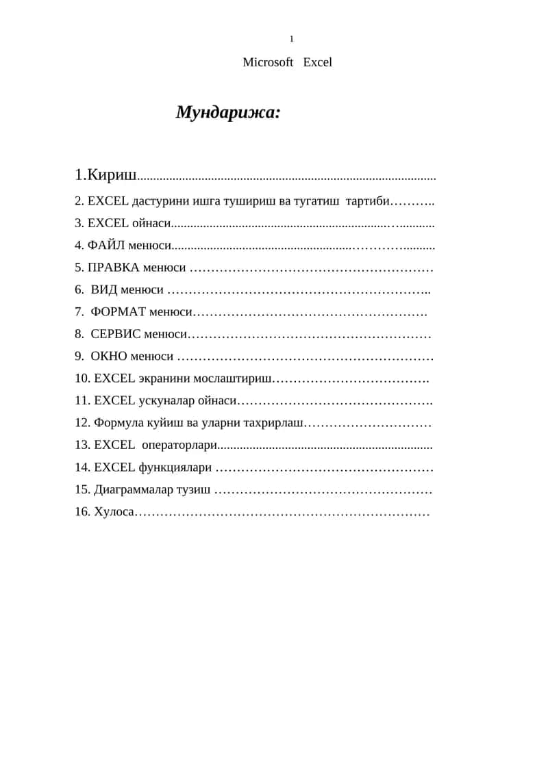 Microsoft Excel 1