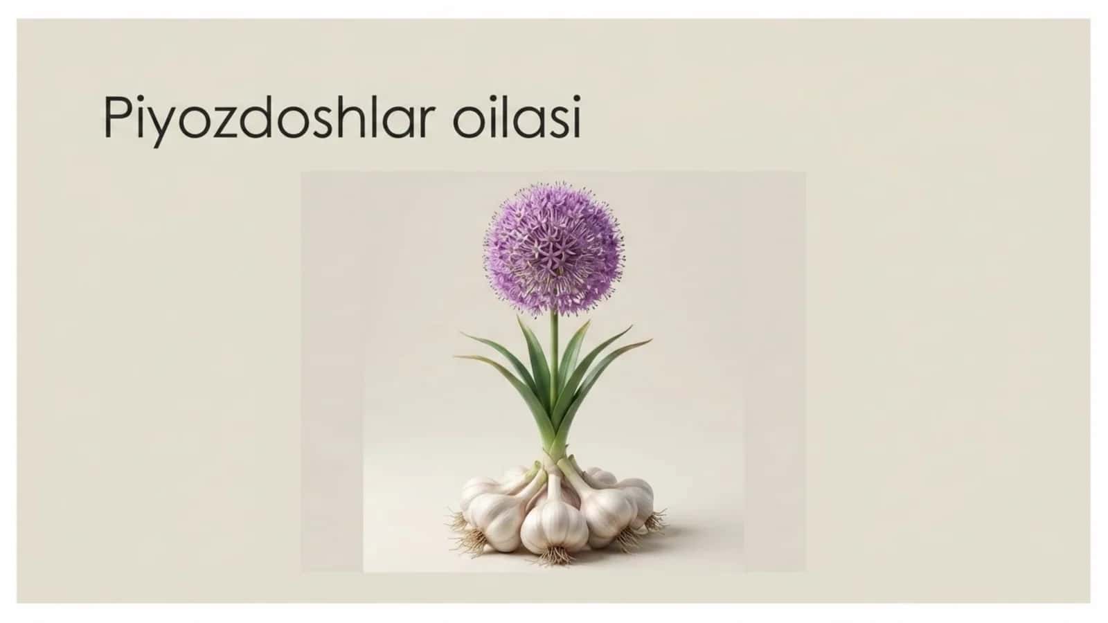 Piyozdoshlar oilasi 1