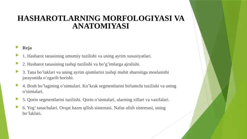 Hasharotlarning morfologiyasi va anatomiyasi 1