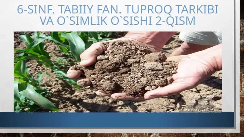 Tuproq tarkibi va o'simlik o'sishi 2-qism 1