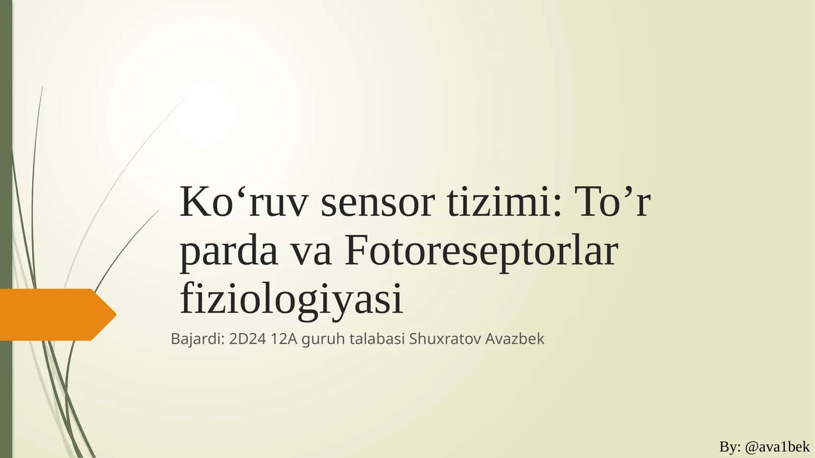 Ko‘ruvsensortizimi:To’rpardavaFotoreseptorlarfiziologiyasi 1