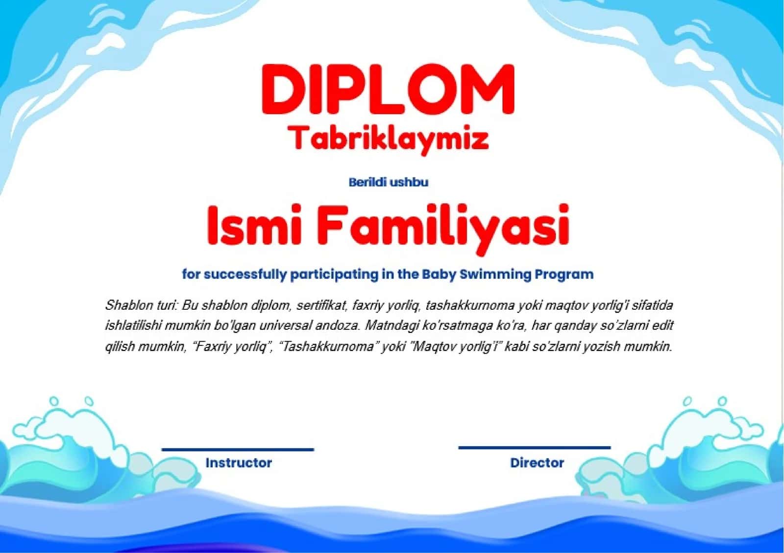 DIPLOM 1