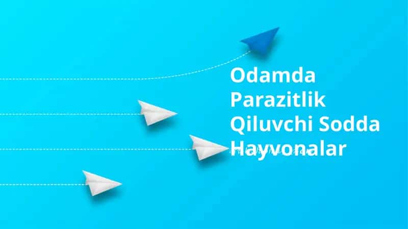 Odamda Parazitlik Qiluvchi Sodda Hayvonalar 1