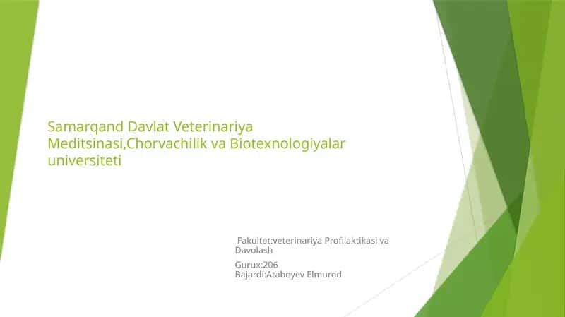 Tuxumdonlar va urug’donlar gistomorfologiyasi 1