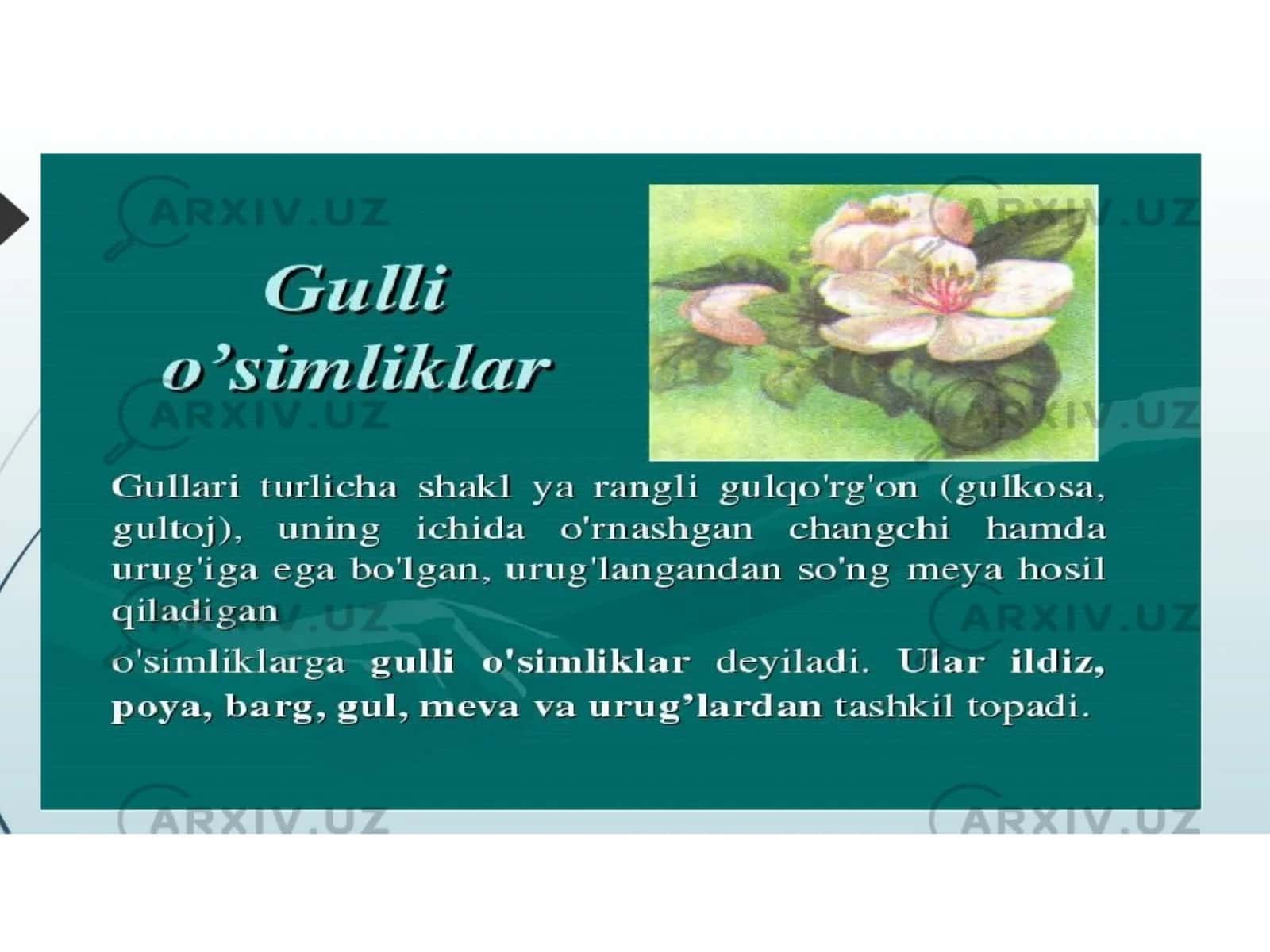 Gulli o'simliklarning kelib chiqishi 1