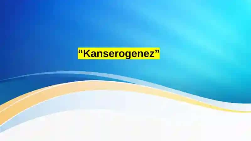 Kanserogenez . Kantserogenez asoslari