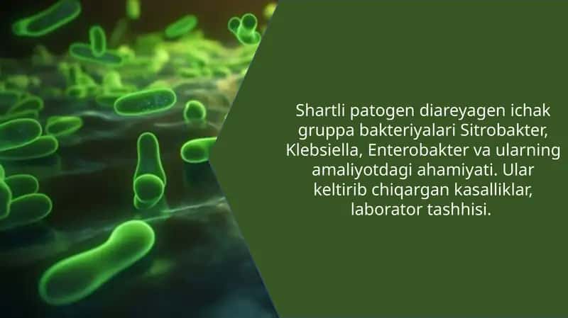 Shartli patogen diareyagen ichak guruhi bakteriyalari 1
