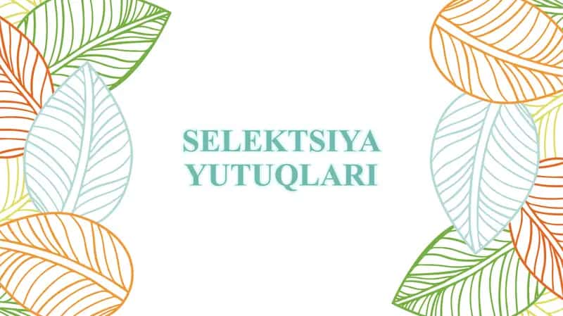 SELEKTSIYA YUTUQLARI 1
