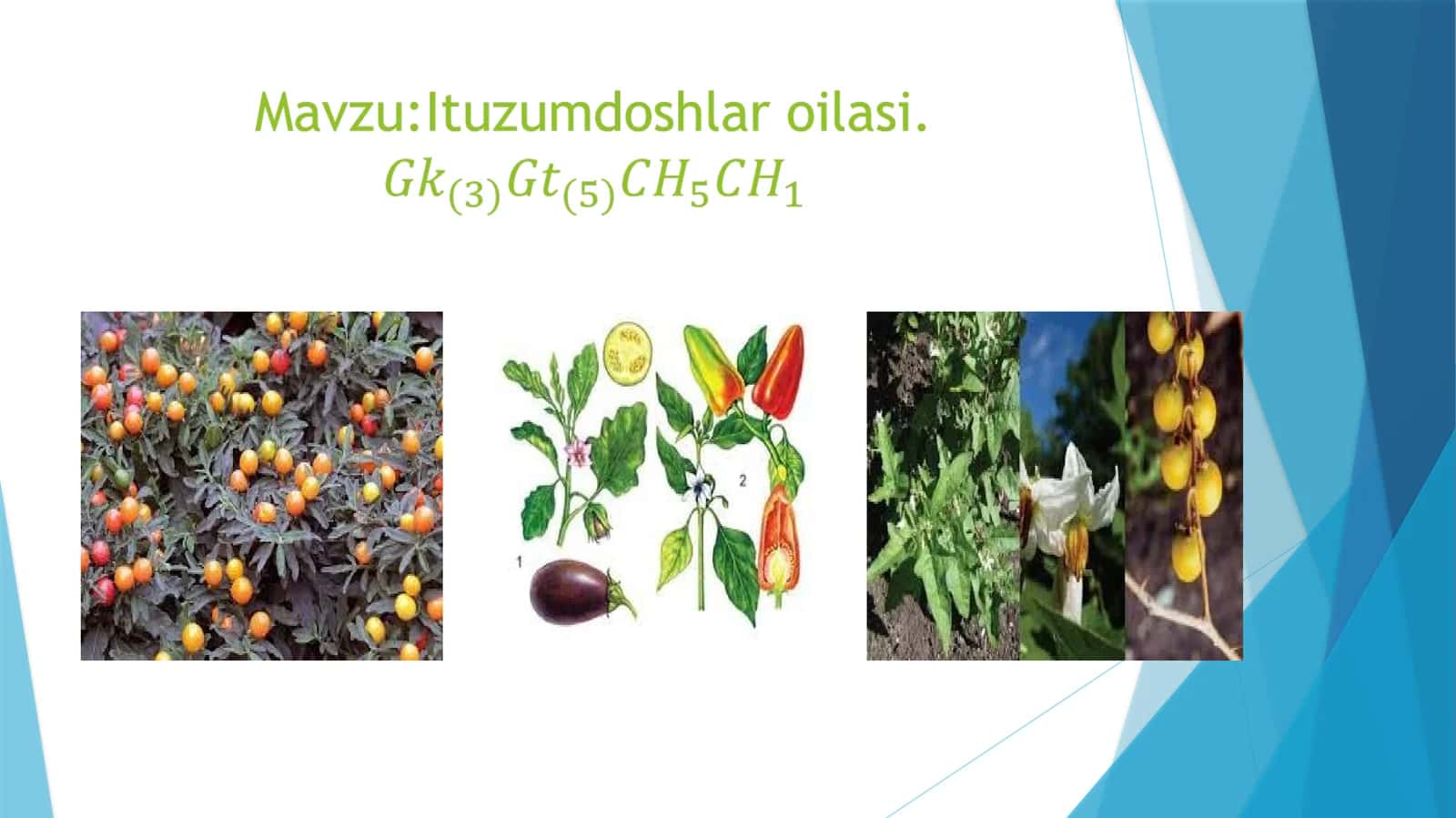 Qoraituzum 1