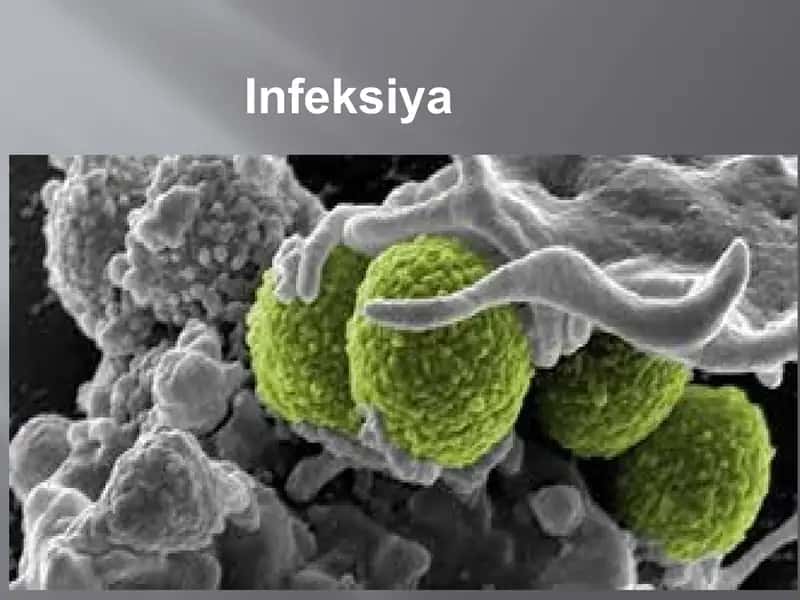 Infeksiya 1