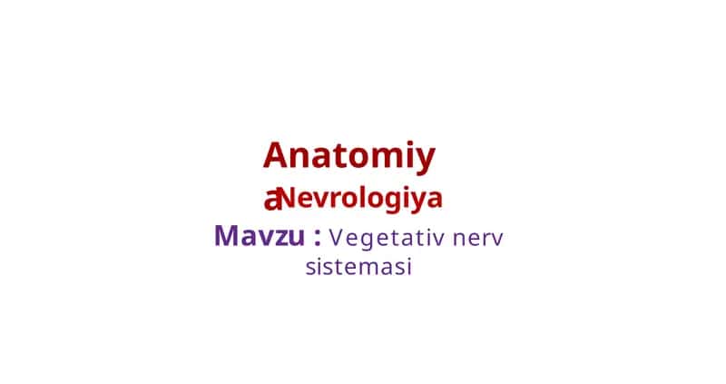 Anatomiya 1