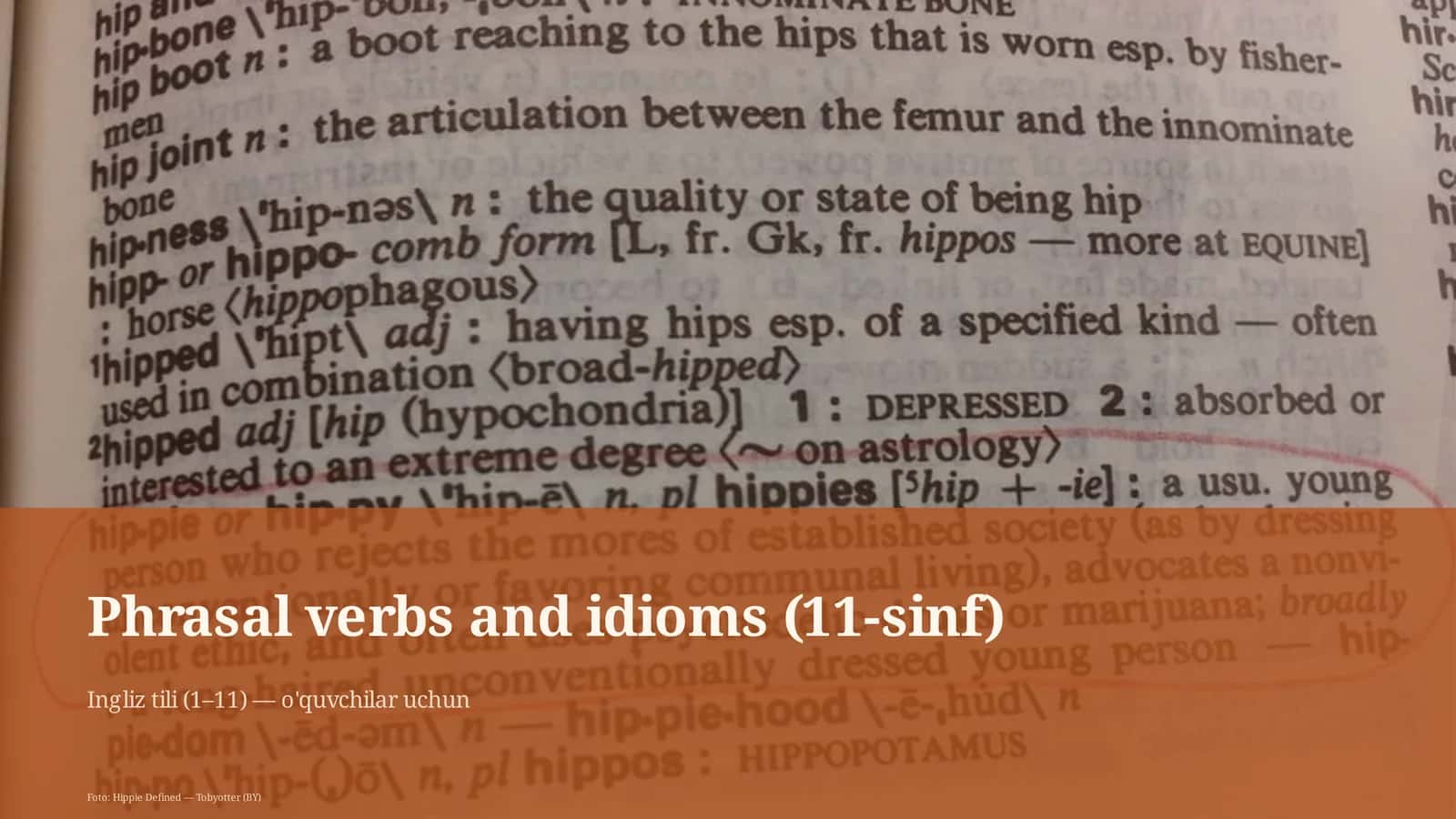 Phrasal verbs and idioms (11-sinf) 1