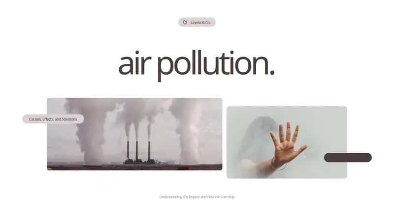 Air Pollution: Causes, Effects, and Solutions 1