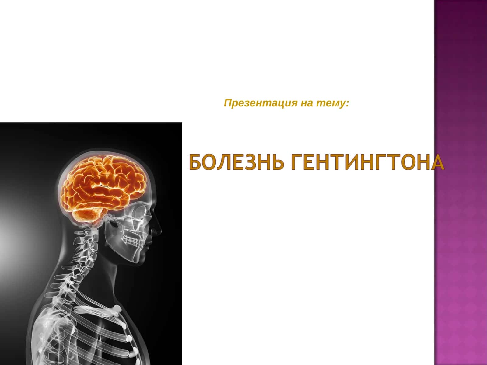 Проблемы нервной системы 1