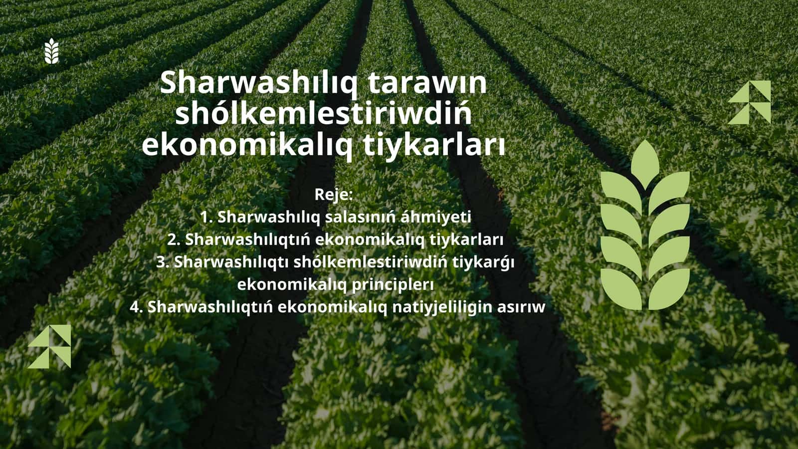 Sharwashılıq tarawın shólkemlestiriwdiń ekonomikalıq tiykarları 1