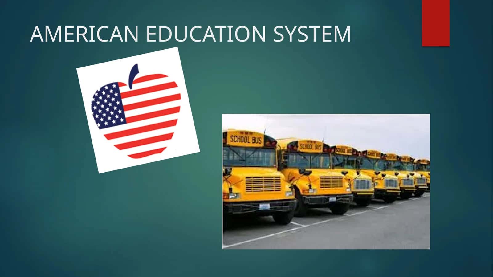 AMERICAN EDUCATION SYSTEM 1