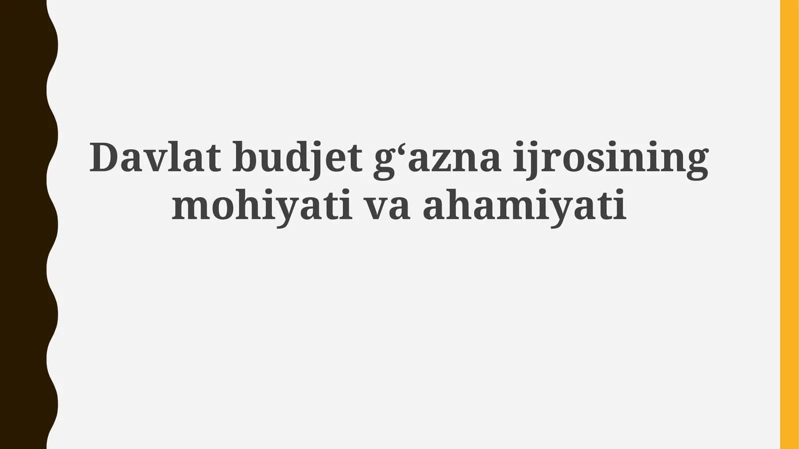 Davlat byudjeti xazina ijrosining mohiyati va ahamiyati 1