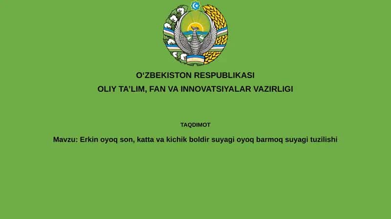 Erkin oyoq suyagi 1