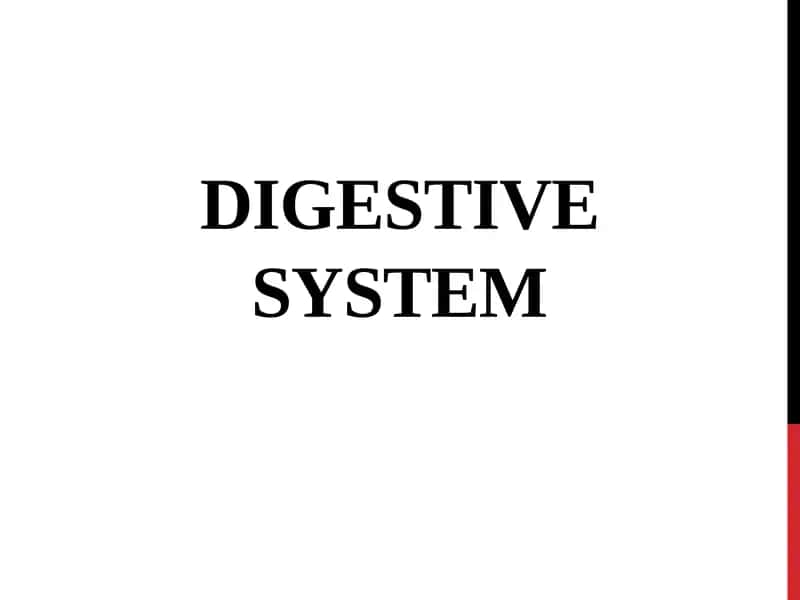 Digestive System 1