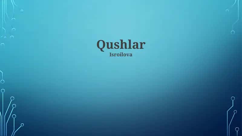 Qushlar 1
