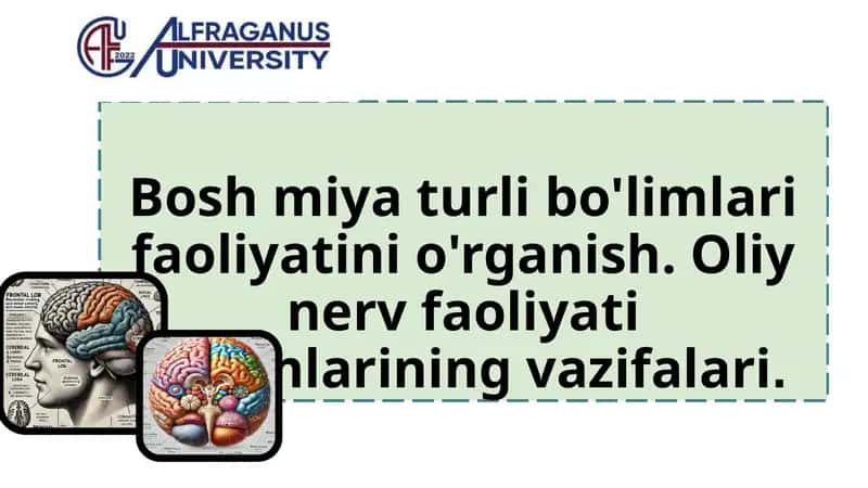 Bosh miya turli bo'limlari faoliyatini o'rganish. Oliy nerv faoliyati bo'limlarining vazifalari. 1
