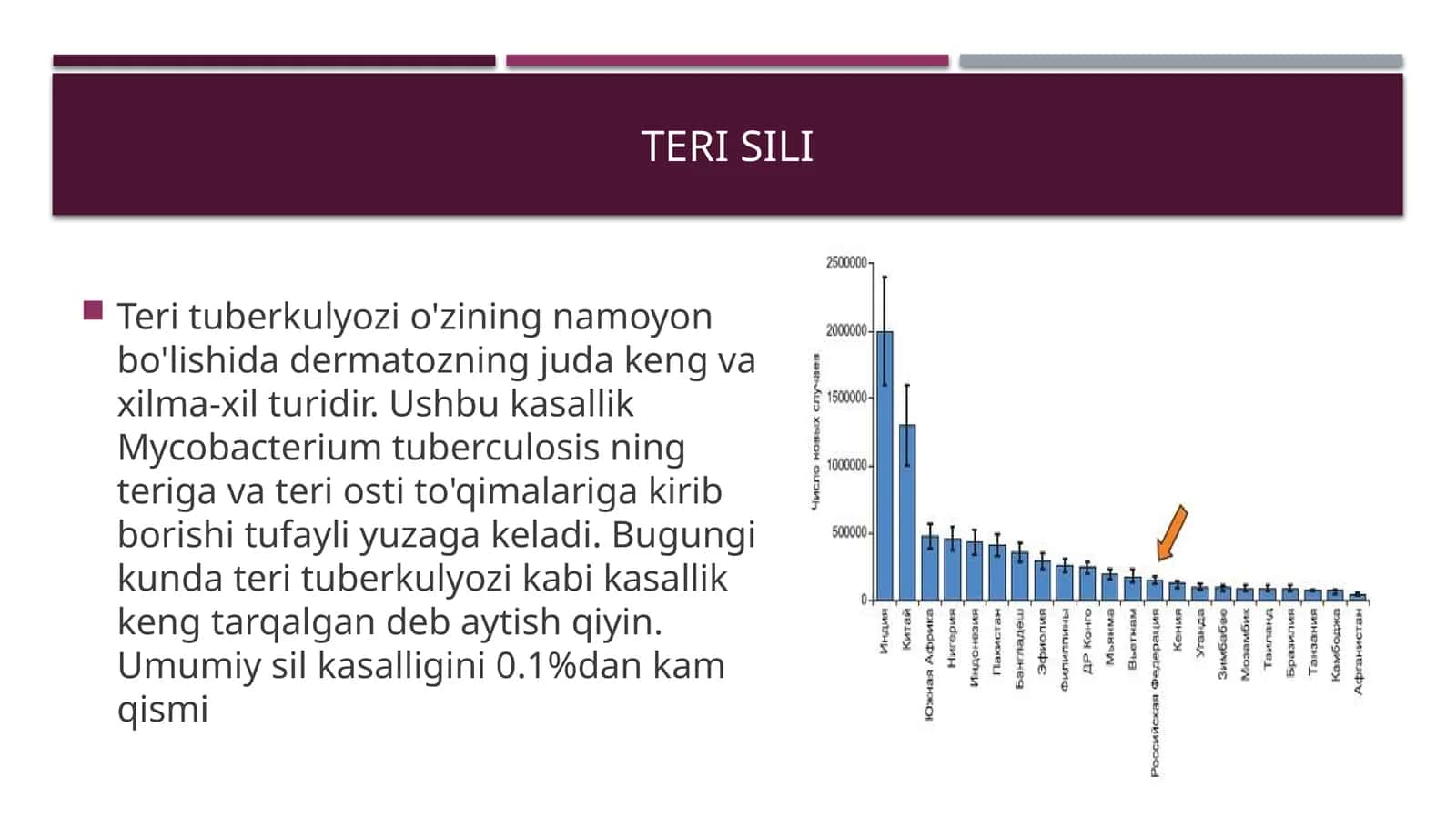 Teri sili 1