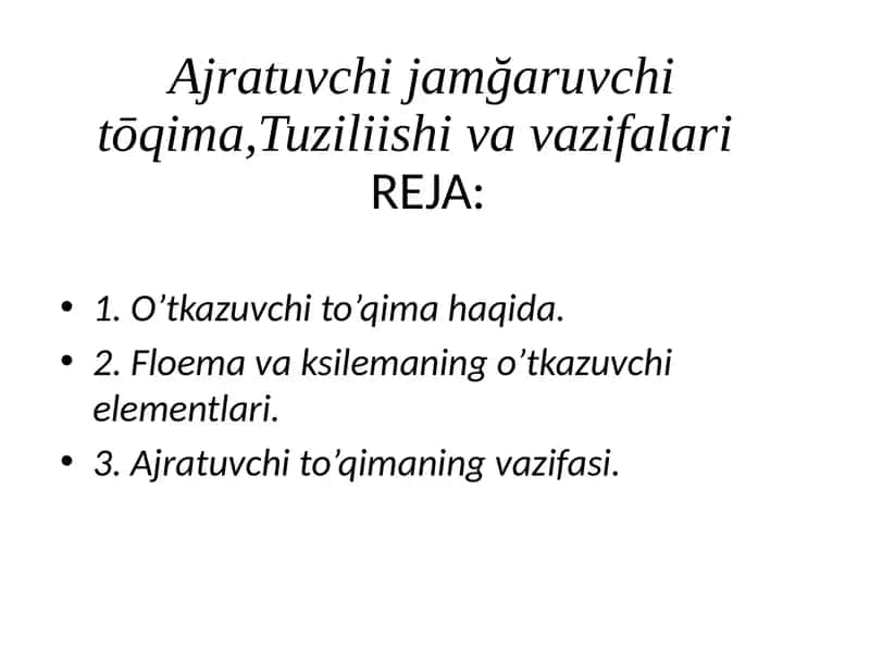 Ajratuvchi jamgaruvchi to'qima 1