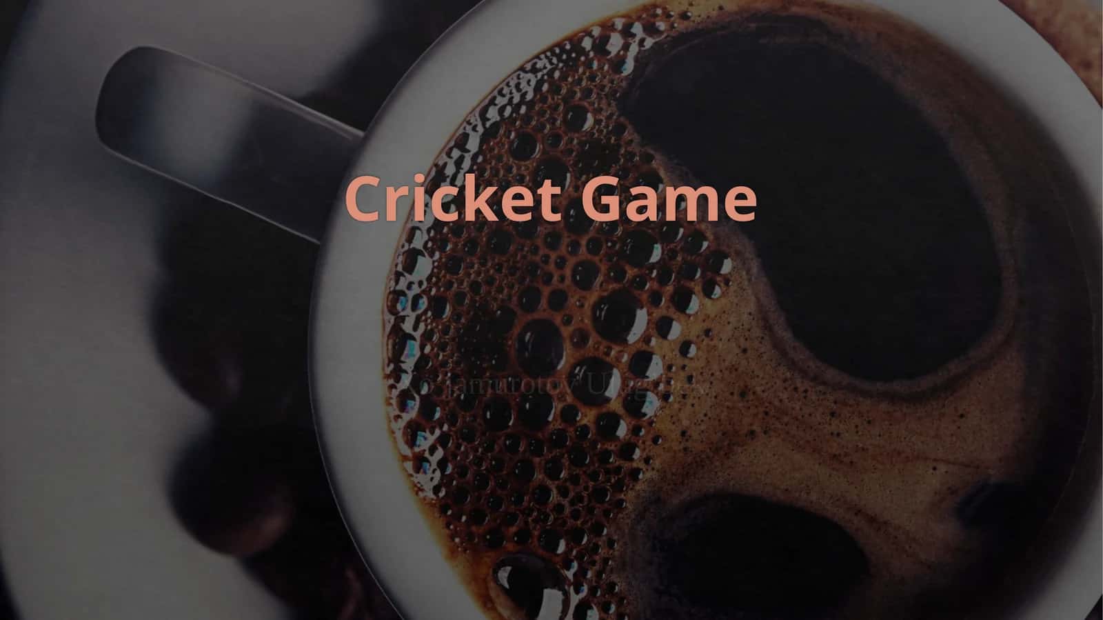 Cricket Game 1