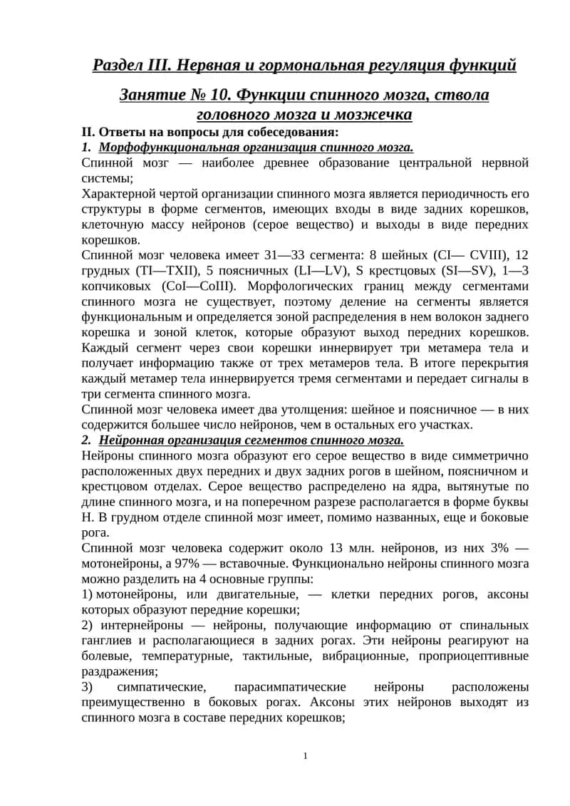 Функции спинного мозга, ствола головного мозга и мозжечка 1