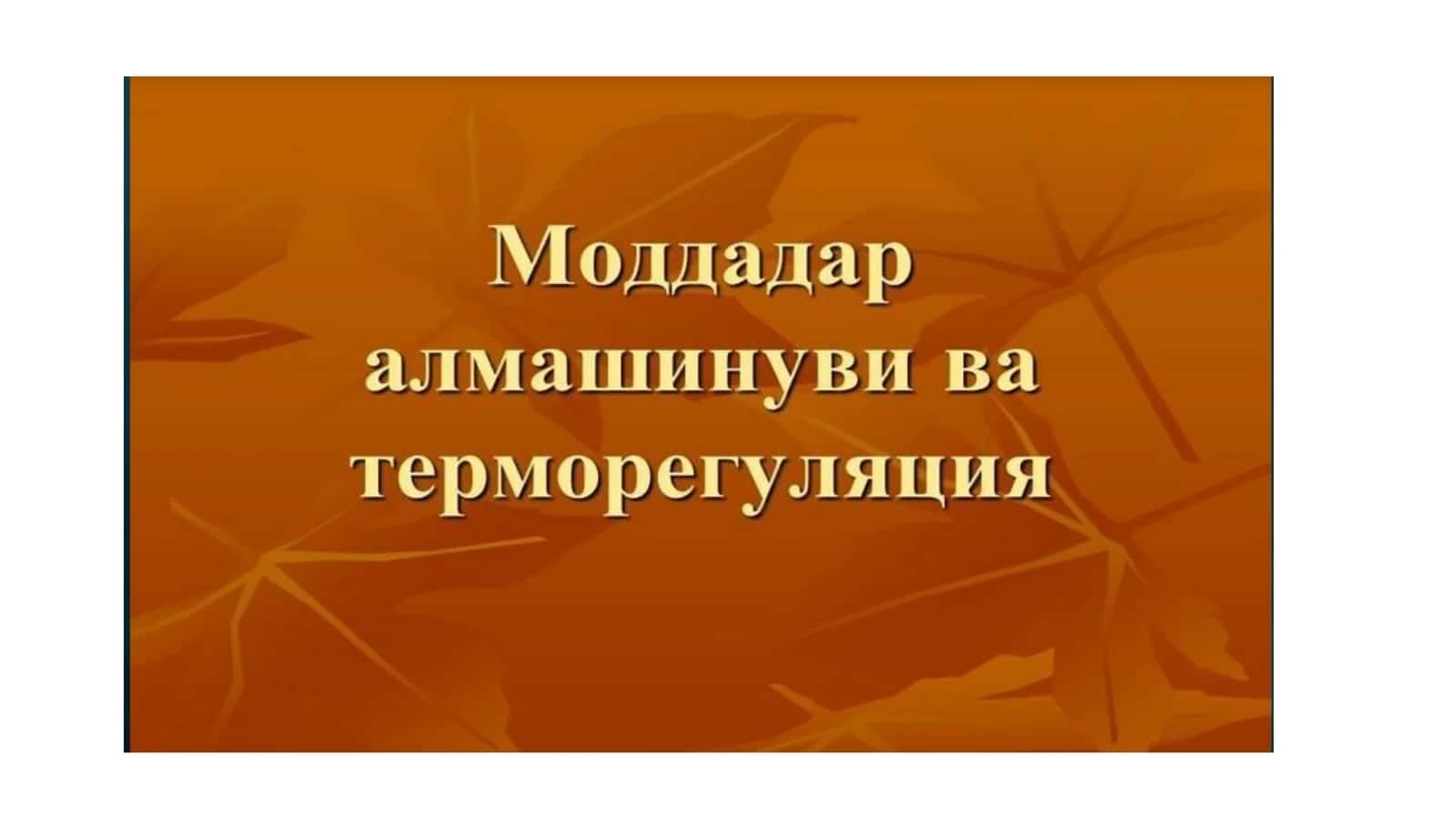 ПЛАСТИК АЛМАШИНУВ 1