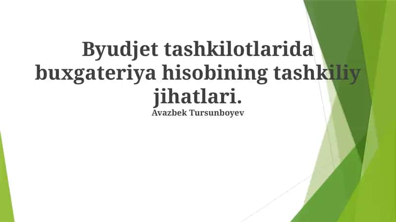 Byudjet tashkilotlarida buxgateriya hisobining tashkiliy jihatlari 1